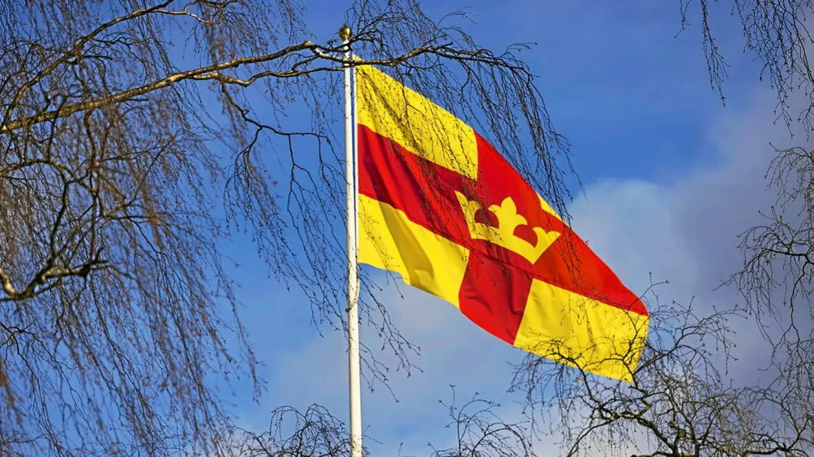 Svenska kyrkans flagga.