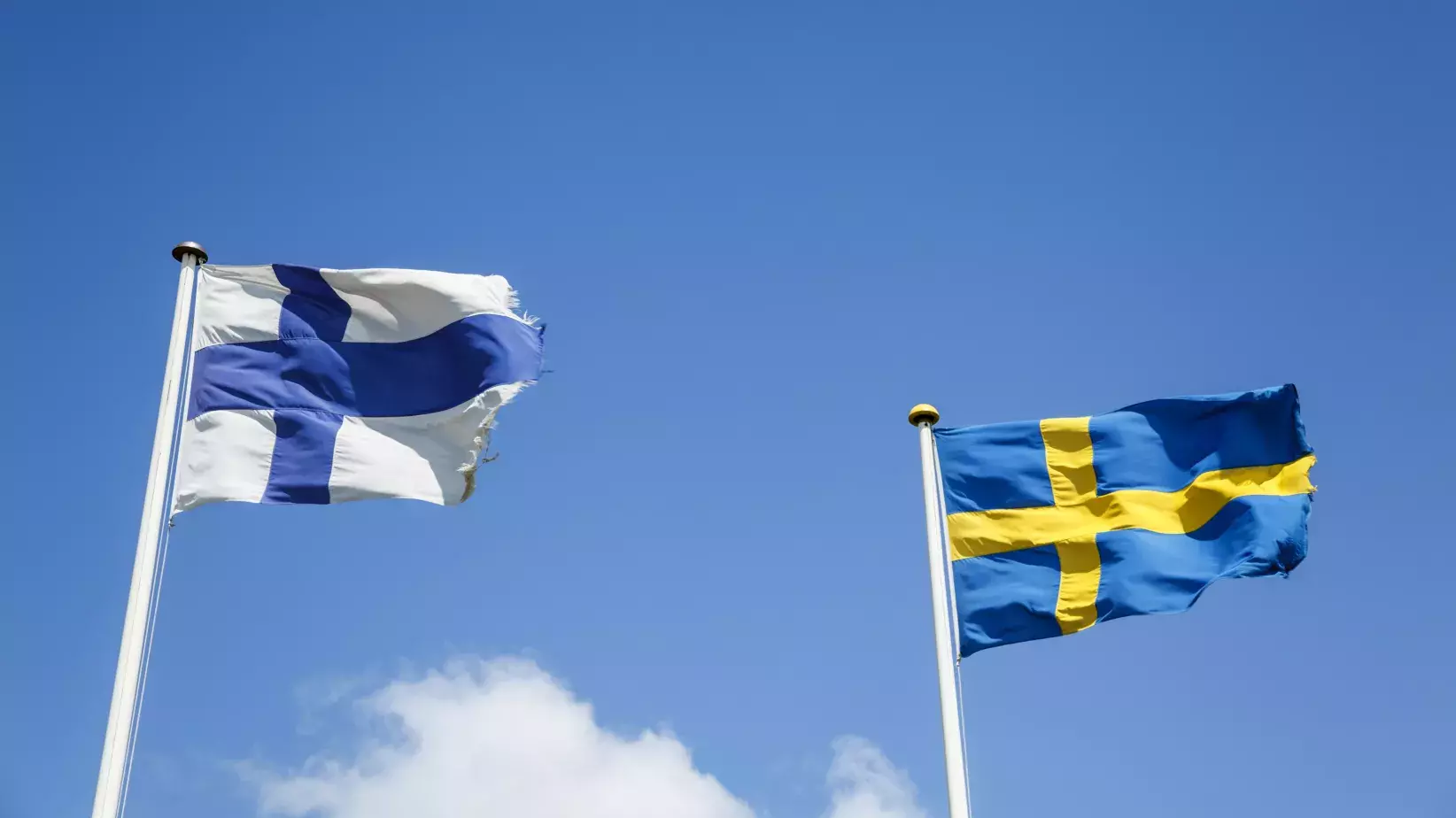 Finska och svenska flaggan.